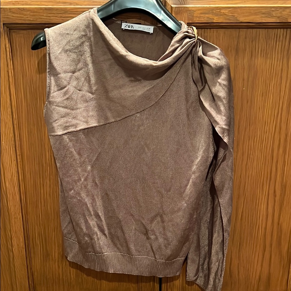 Zara Brown One-Shoulder Top